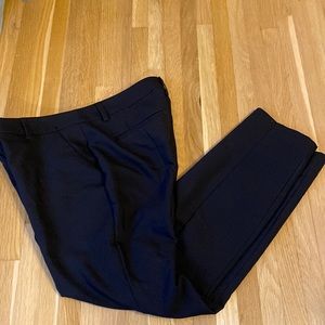 Express Columnist Pants